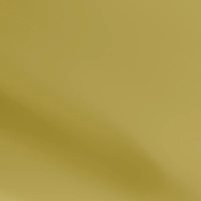 Close-up Bright Gold (Gloss): smooth golden surface with an intense shine and soft reflections.