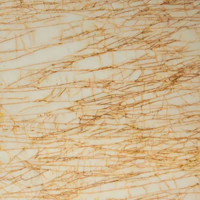 Golden & Spider Marble surface featuring a creamy white background with intricate, thin golden veining patterns resembling a web or spider-like design.