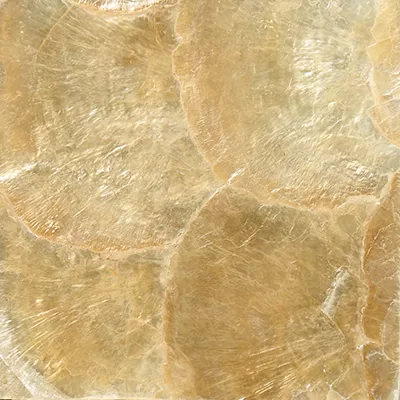 Close-up Mother Of Pearl Gold: iridescent surface in shades of gold and cream with an organic pattern of overlapping layers, featuring a soft and pearlescent sheen.