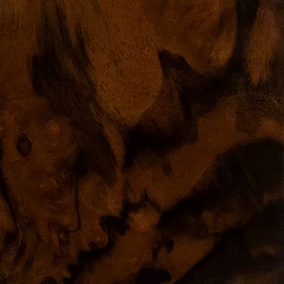 Close-up Walnut Root Veneer (Gloss): dark wood surface with an organic and irregular pattern in shades of chocolate brown and black. The glossy finish enhances the depth and grain of the wood, creating a rich and lustrous visual effect.