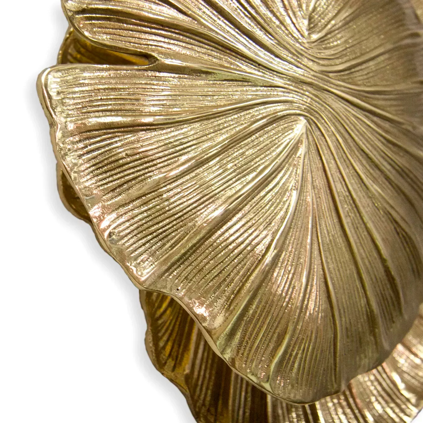A macro shot of the Passion Sconce by Koket, showcasing the textured, metallic surface of its golden leaf design.