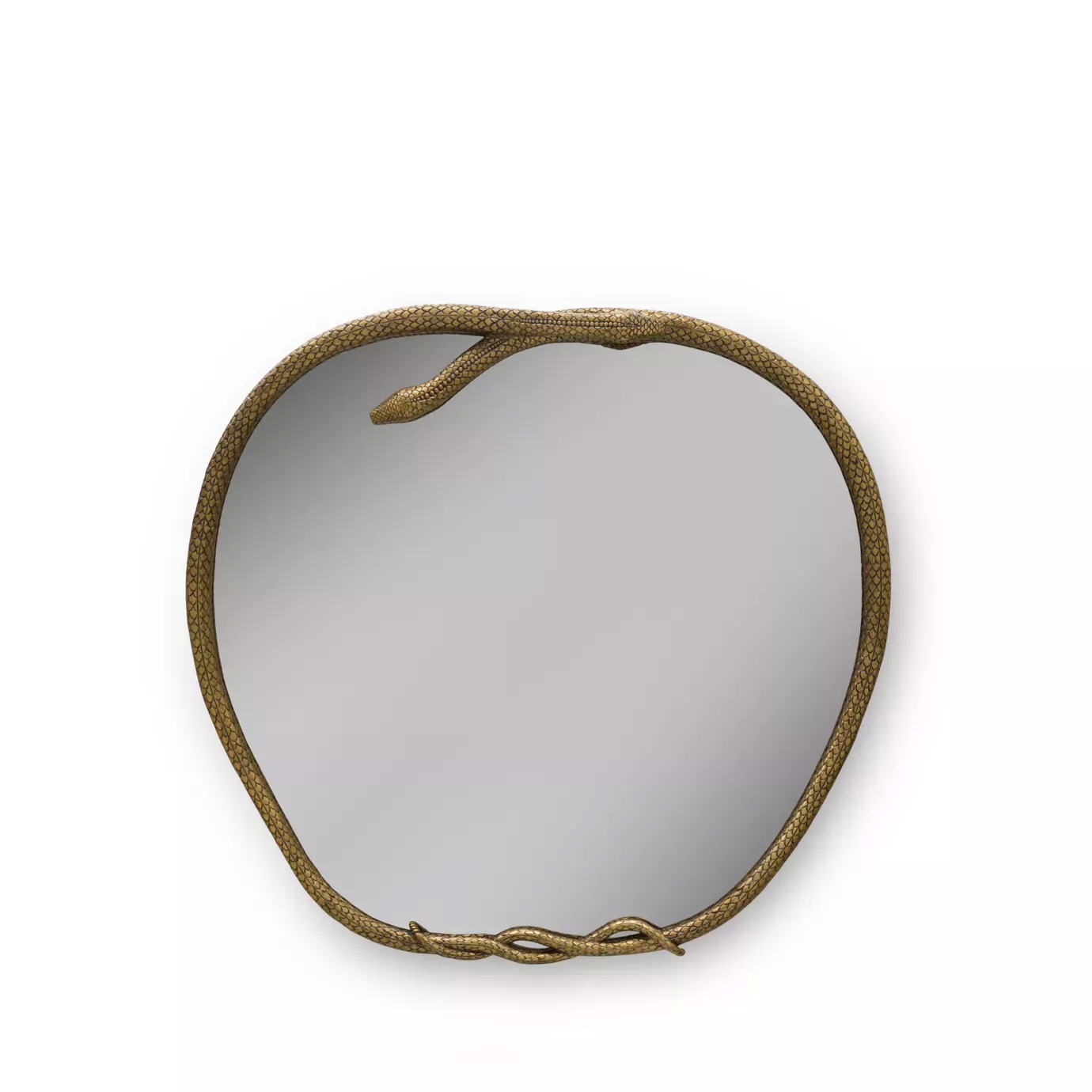 A unique Serpentine Apple Shaped Mirror, featuring a textured golden snake frame, is centered on a white background.