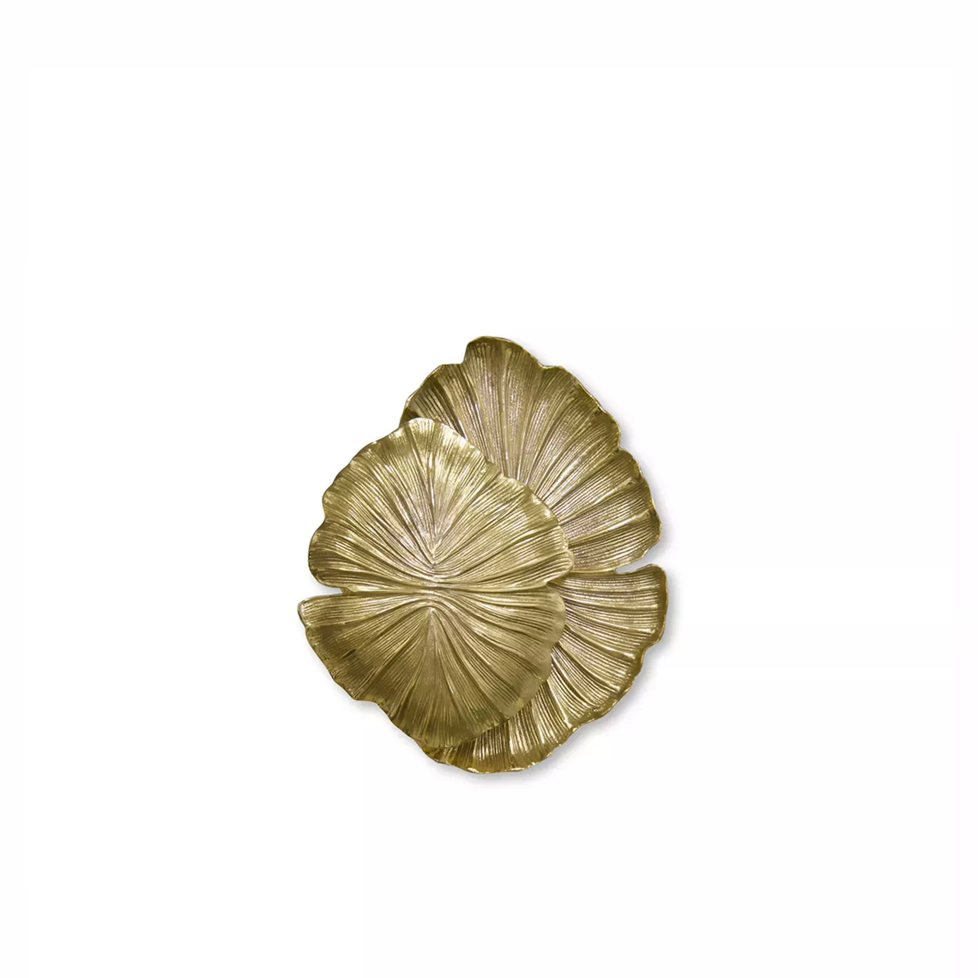 Inspired by nature, this luminous wall sconce symbolizes the link between first love and a flower when it first blooms.