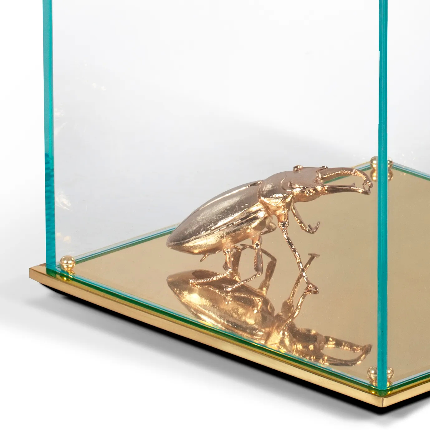 Golden beetle sculpture reflected in a mirrored glass display case of Metamorphosis Side Table.
