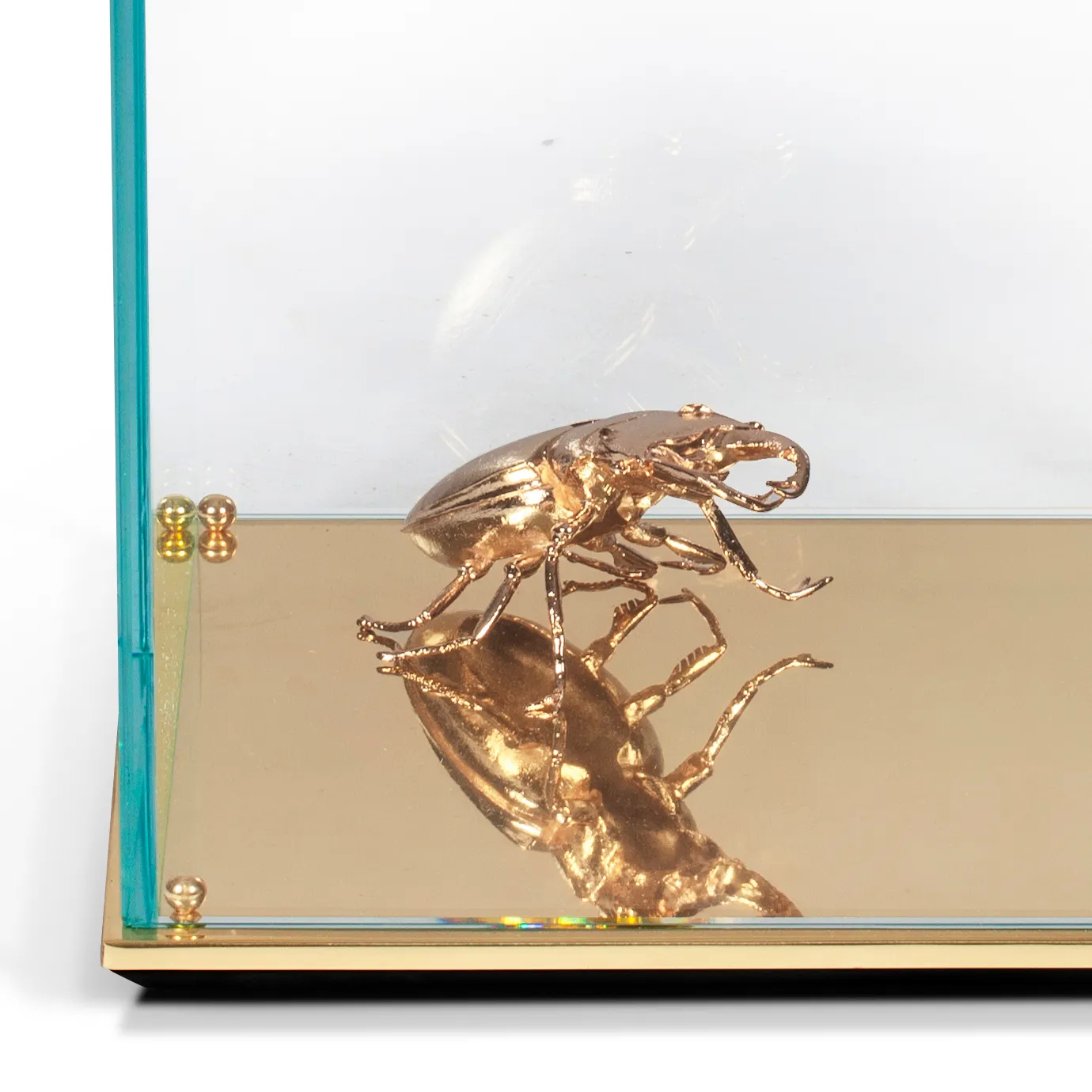 Golden beetle sculpture reflected in a mirrored glass Metamorphosis Side Table.