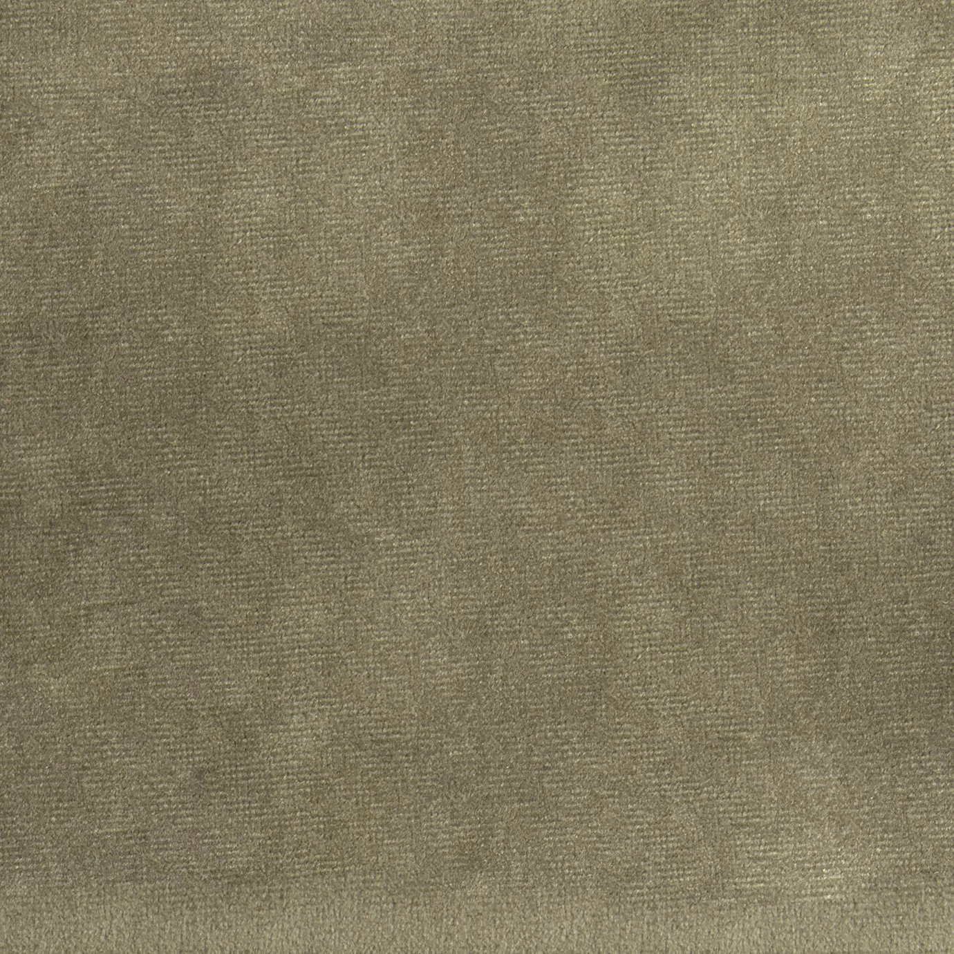 Elegant close-up of a Paris Velvet Elephant fabric swatch in a soft and neutral gray-beige tone, showcasing its velvety texture and a subtle sheen that gives it a feeling of comfort and understated elegance.