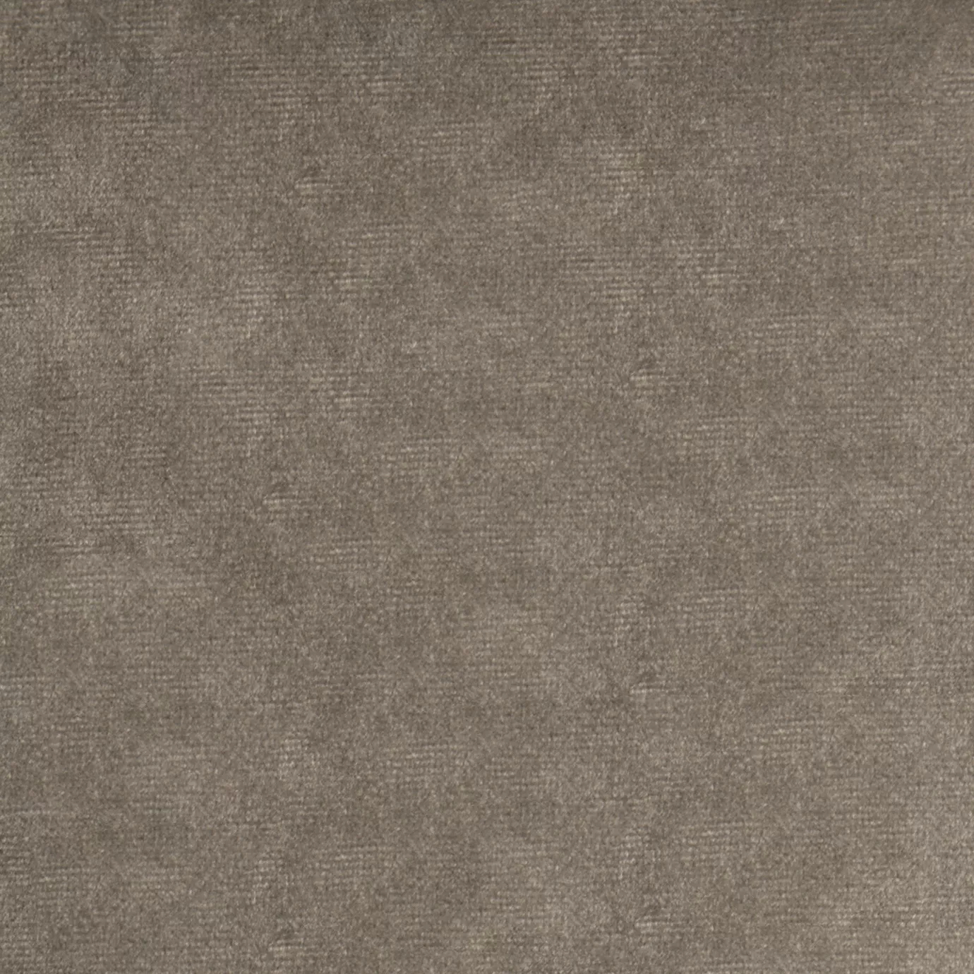 Elegant close-up of a Paris Velvet Mouse fabric swatch in a soft and neutral brownish-gray tone, showcasing its velvety texture and a subtle sheen that gives it a feeling of comfort and understated elegance.