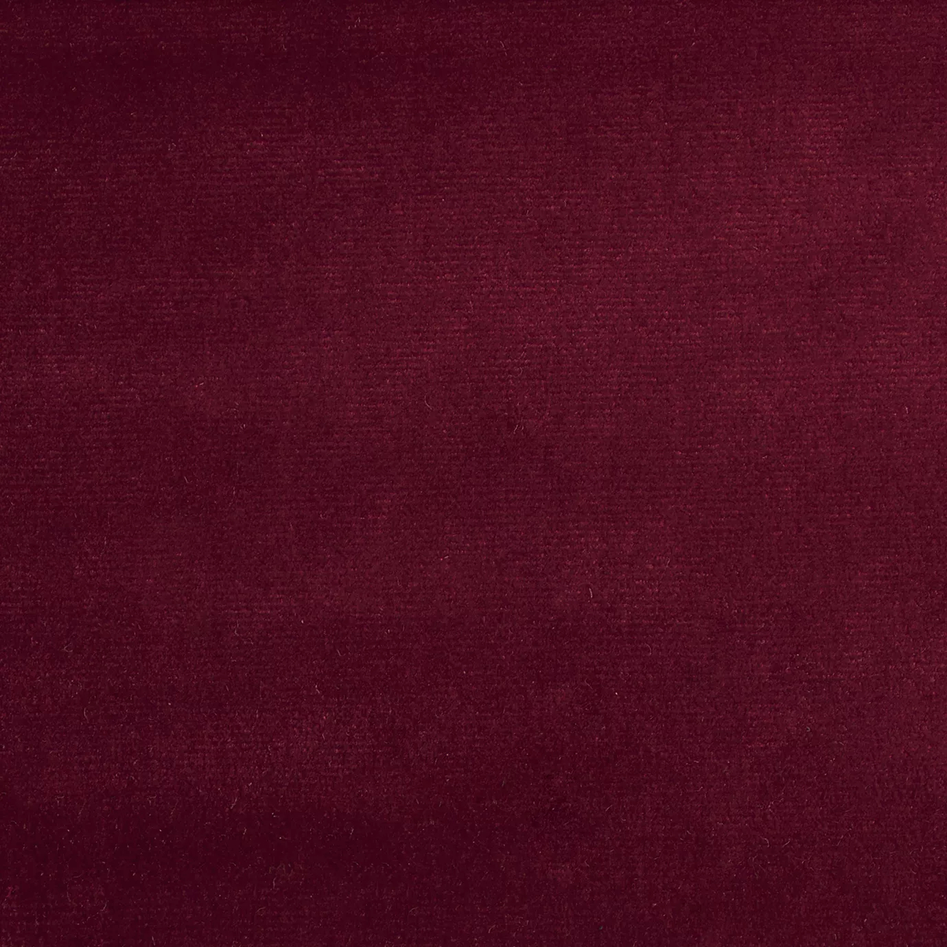 Elegant close-up of a Paris Velvet Red Rose fabric swatch in a soft and sophisticated rose red tone, showcasing its velvety texture and a subtle sheen that gives it a feeling of comfort and graceful elegance.