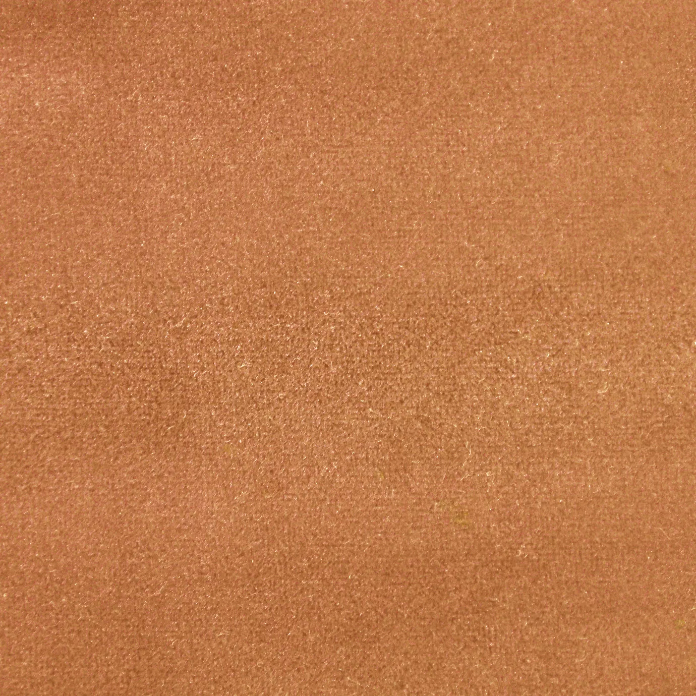 Soft and elegant close-up of a Lux Velvet 0278 fabric swatch in a soft and welcoming orange tone, showcasing its velvety texture and a delicate sheen that gives it a feeling of comfort and natural elegance.