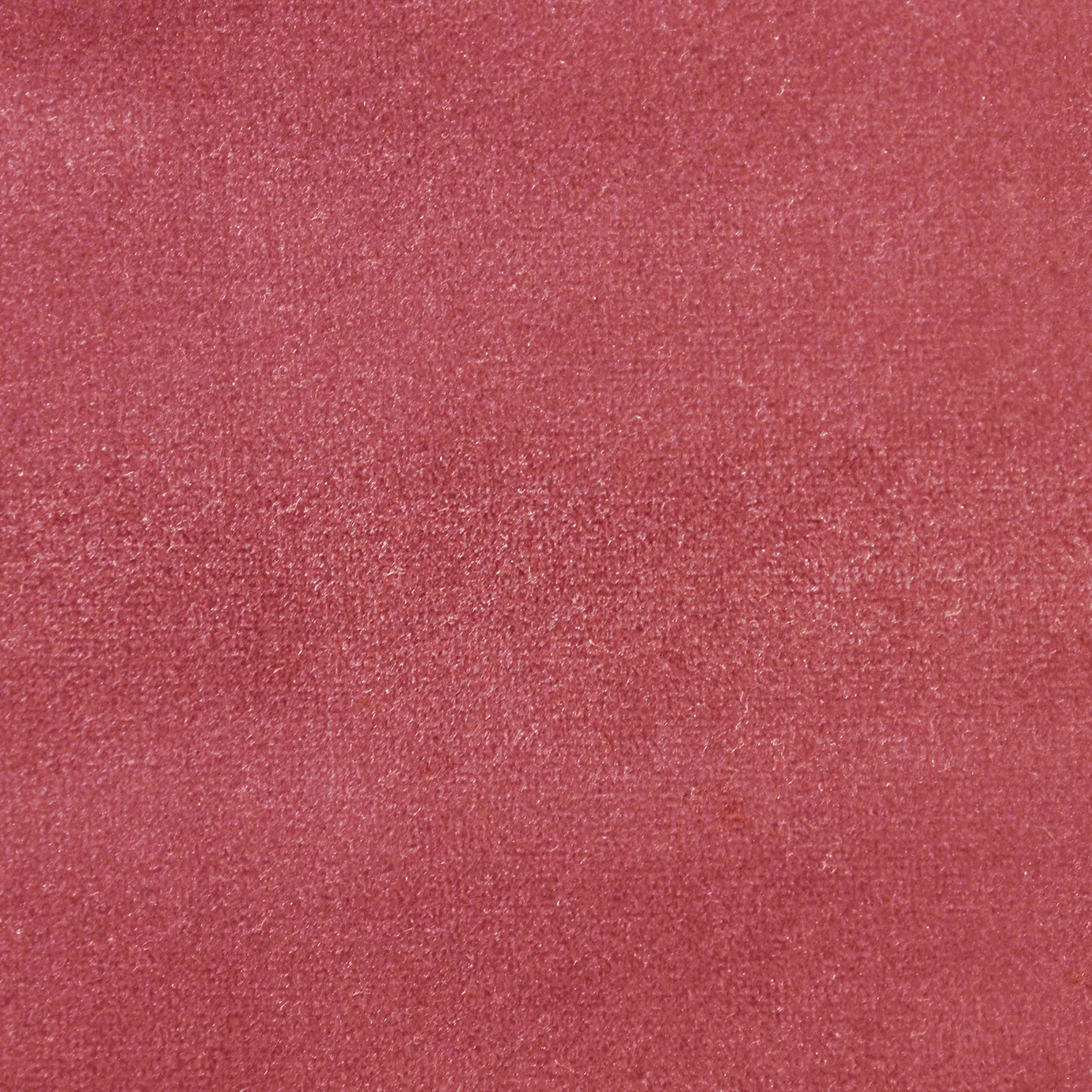 Soft and elegant close-up of a Lux Velvet Bubble Gum 0328 fabric swatch in a soft and vibrant bubble gum pink tone, showcasing its velvety texture and a delicate sheen that gives it a feeling of comfort and cheerful vibrancy.