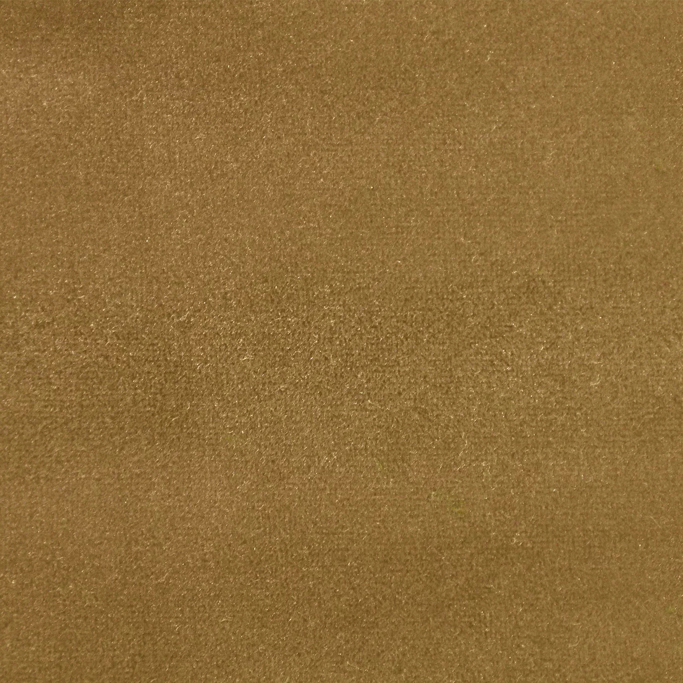 Soft and elegant close-up of a Lux Velvet Curry 0166 fabric swatch in a warm and sophisticated curry tone, showcasing its velvety texture and a delicate sheen that gives it a feeling of comfort and natural elegance.