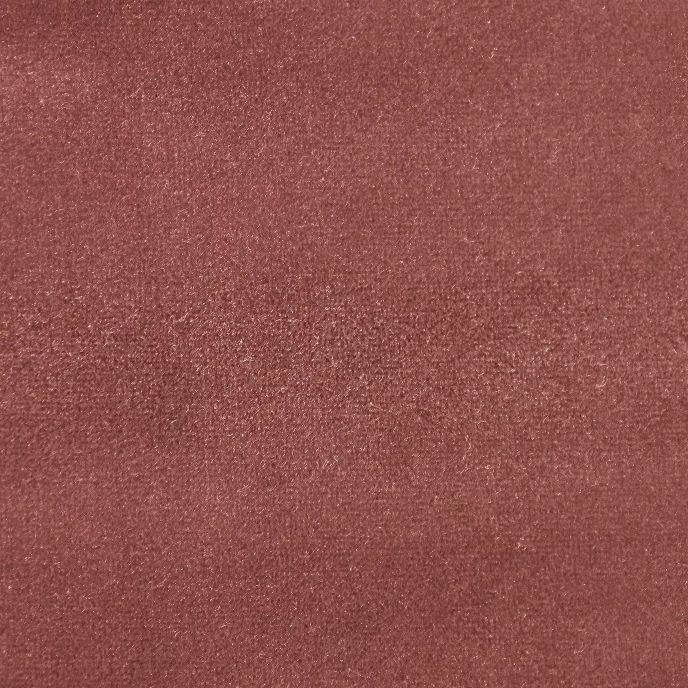 Soft and elegant close-up of a Lux Velvet Hot Coral 0342 fabric swatch in a warm and vibrant coral tone, showcasing its velvety texture and a delicate sheen that gives it a feeling of comfort and natural vibrancy.