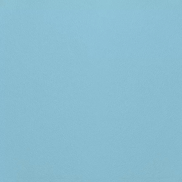Close-up Oyster Airblue Leather: soft sky blue, subtly textured and elegant. Smooth and even sheen.