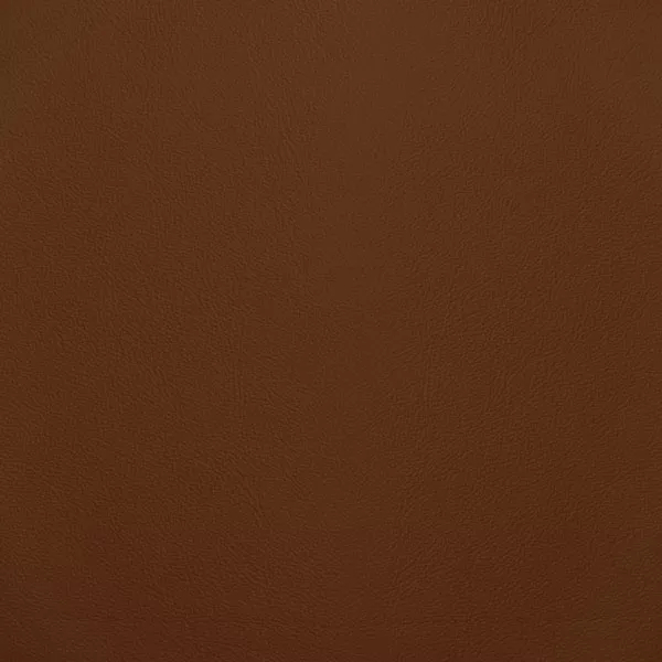 Close-up Oyster Amber Brown Leather: soft amber brown, subtly textured and elegant. Smooth and even sheen.