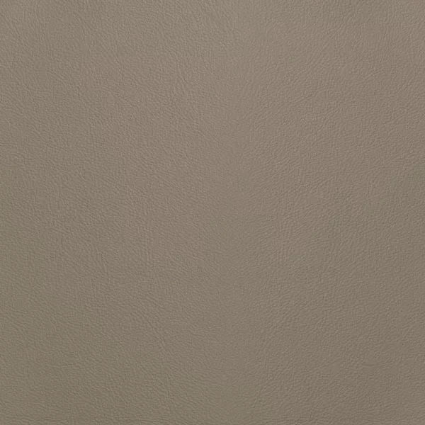 Close-up Oyster Angel Wing Leather: soft grayish beige, subtly textured and elegant. Smooth and even sheen.