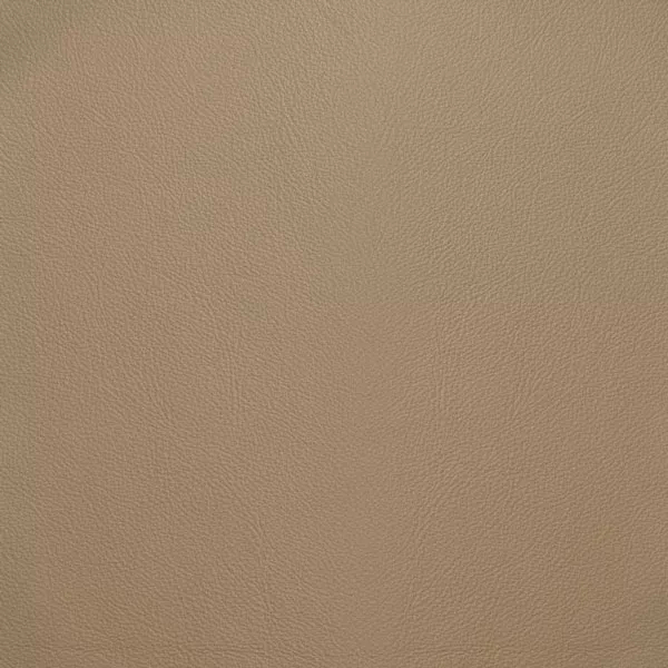 Close-up Oyster Biscotti Leather: soft light beige, subtly textured and elegant. Smooth and even sheen.