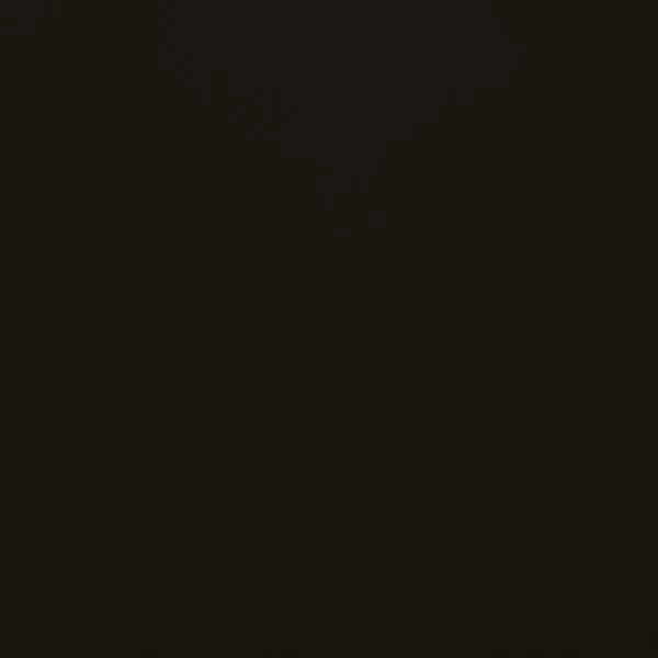 Close-up Oyster Black Coffee Leather: soft black, subtly textured and elegant. Smooth and even sheen.