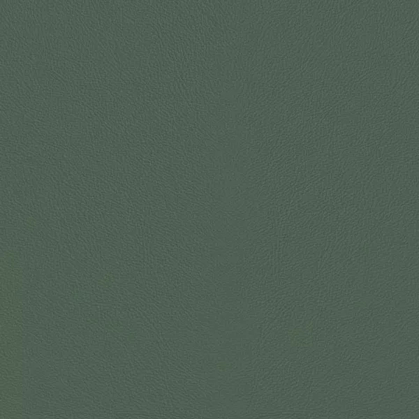 Close-up Oyster Cameo Green Leather: soft grayish green, subtly textured and elegant. Smooth and even sheen.
