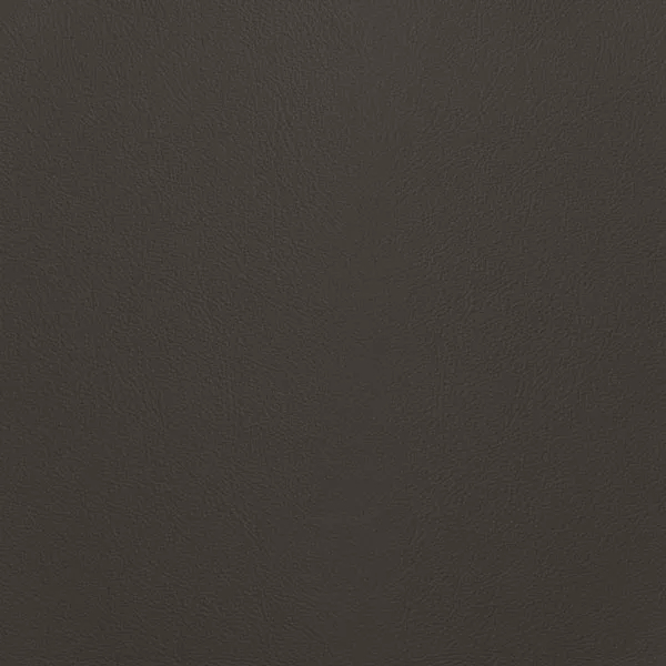 Close-up Oyster Charcoal Grey Leather: soft charcoal gray, subtly textured and elegant. Smooth and even sheen.