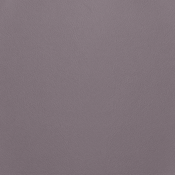 Close-up Oyster Cloud Gray Leather: soft light gray, subtly textured and elegant. Smooth and even sheen.
