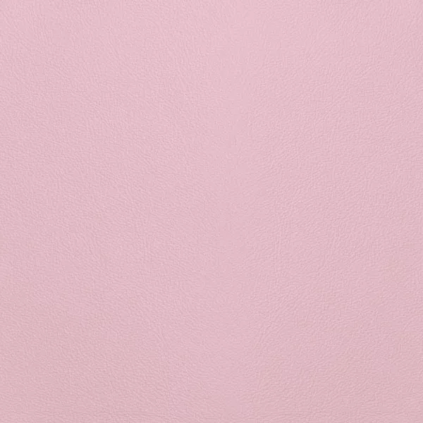 Close-up Oyster Coral Blush Leather: soft coral pink, subtly textured and elegant. Smooth and even sheen.