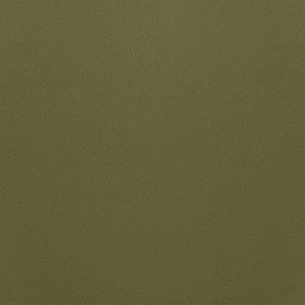 Close-up Oyster Gray Green Leather: soft grayish green, subtly textured and elegant. Smooth and even sheen.