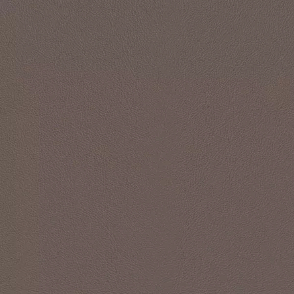 Close-up Oyster Lavender Leather: soft grayish purple, subtly textured and elegant. Smooth and even sheen.