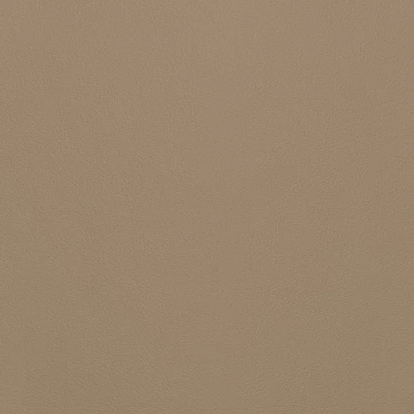 Close-up Oyster Moonstrack Leather: soft light brown, subtly textured and elegant. Smooth and even sheen.