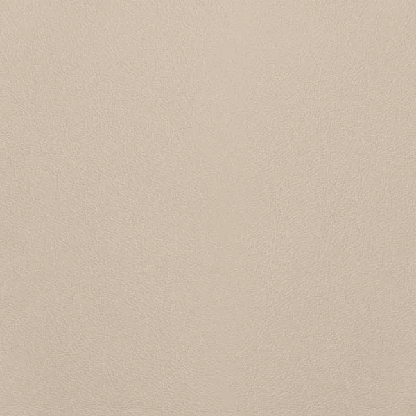 Close-up Oyster Moth Leather: soft warm beige, subtly textured and elegant. Smooth and even sheen.