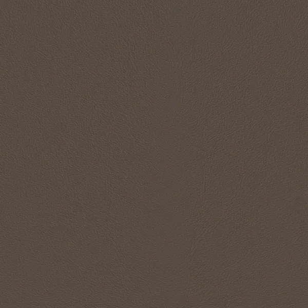 Close-up Oyster Mushroom Leather: soft medium brown, subtly textured and elegant. Smooth and even sheen.