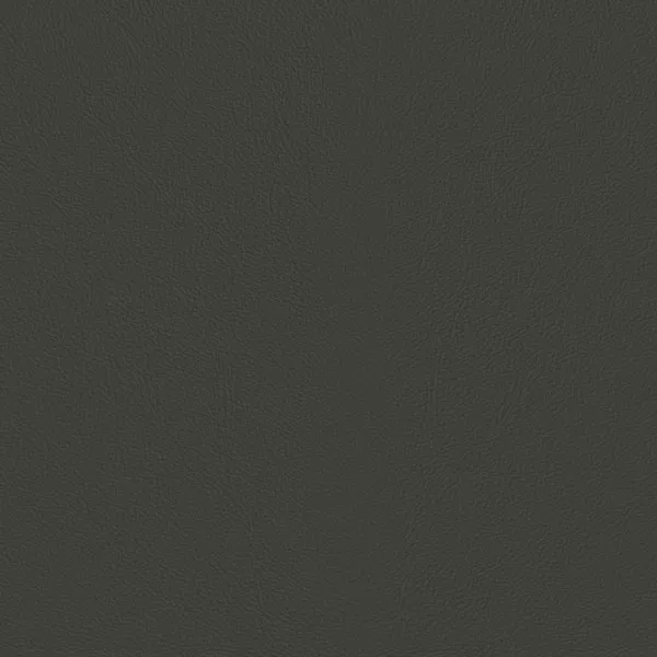 Close-up Oyster Paloma Leather: soft dark medium gray, subtly textured and elegant. Smooth and even sheen.