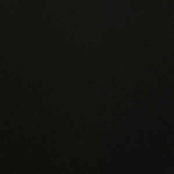 Close-up Oyster Pirate Black Leather: soft black, subtly textured and elegant. Smooth and even sheen.