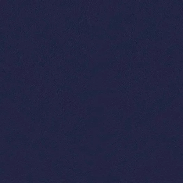 Close-up Oyster Princess Blue Leather: soft medium blue, subtly textured and elegant. Smooth and even sheen.