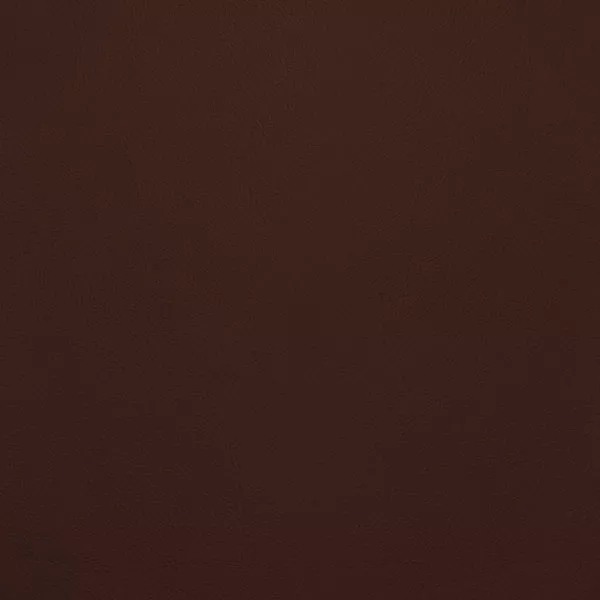 Close-up Oyster Prune Leather: soft dark brownish purple, subtly textured and elegant. Smooth and even sheen.