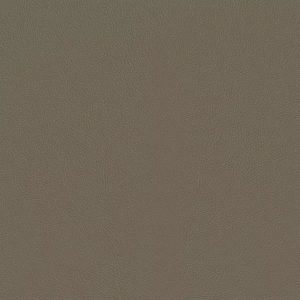 Close-up Oyster Sandshell Leather: soft light grayish brown, subtly textured and elegant. Smooth and even sheen.