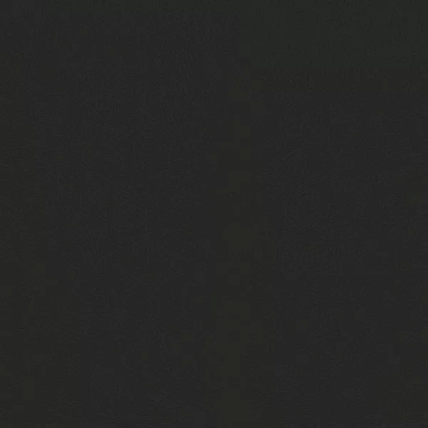 Close-up Oyster Shale Leather: soft brownish dark gray, subtly textured and elegant. Smooth and even sheen.