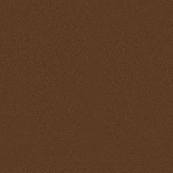 Close-up Oyster Sudan Brown Leather: soft medium brown, subtly textured and elegant. Smooth and even sheen.