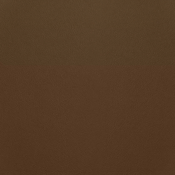Close-up Oyster Taffy Leather: soft light brown, subtly textured and elegant. Smooth and even sheen.