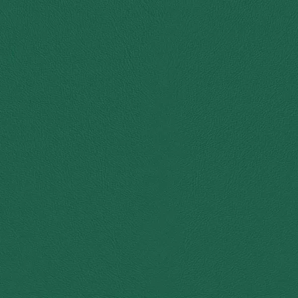 Close-up Oyster Viridian Green Leather: soft emerald green, subtly textured and elegant. Smooth and even sheen.