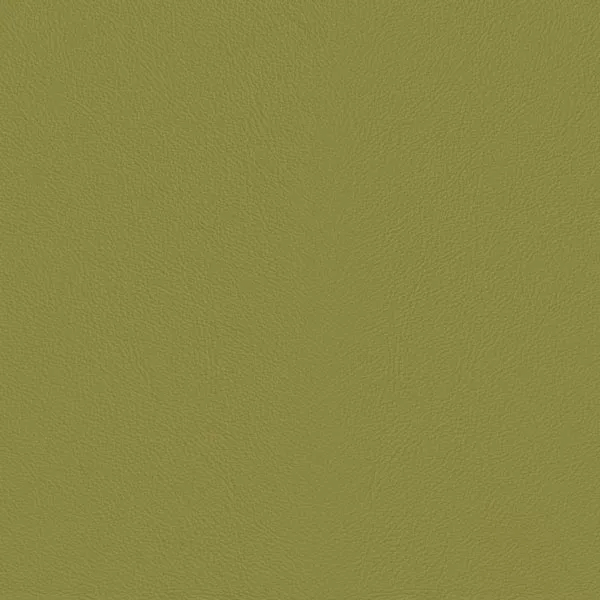 Close-up Oyster Warm Olive Leather: soft warm olive green, subtly textured and elegant. Smooth and even sheen.