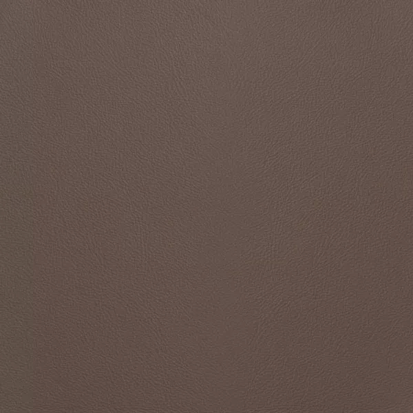 Close-up Oyster Wild Dove Leather: soft grayish brown, subtly textured and elegant. Smooth and even sheen.