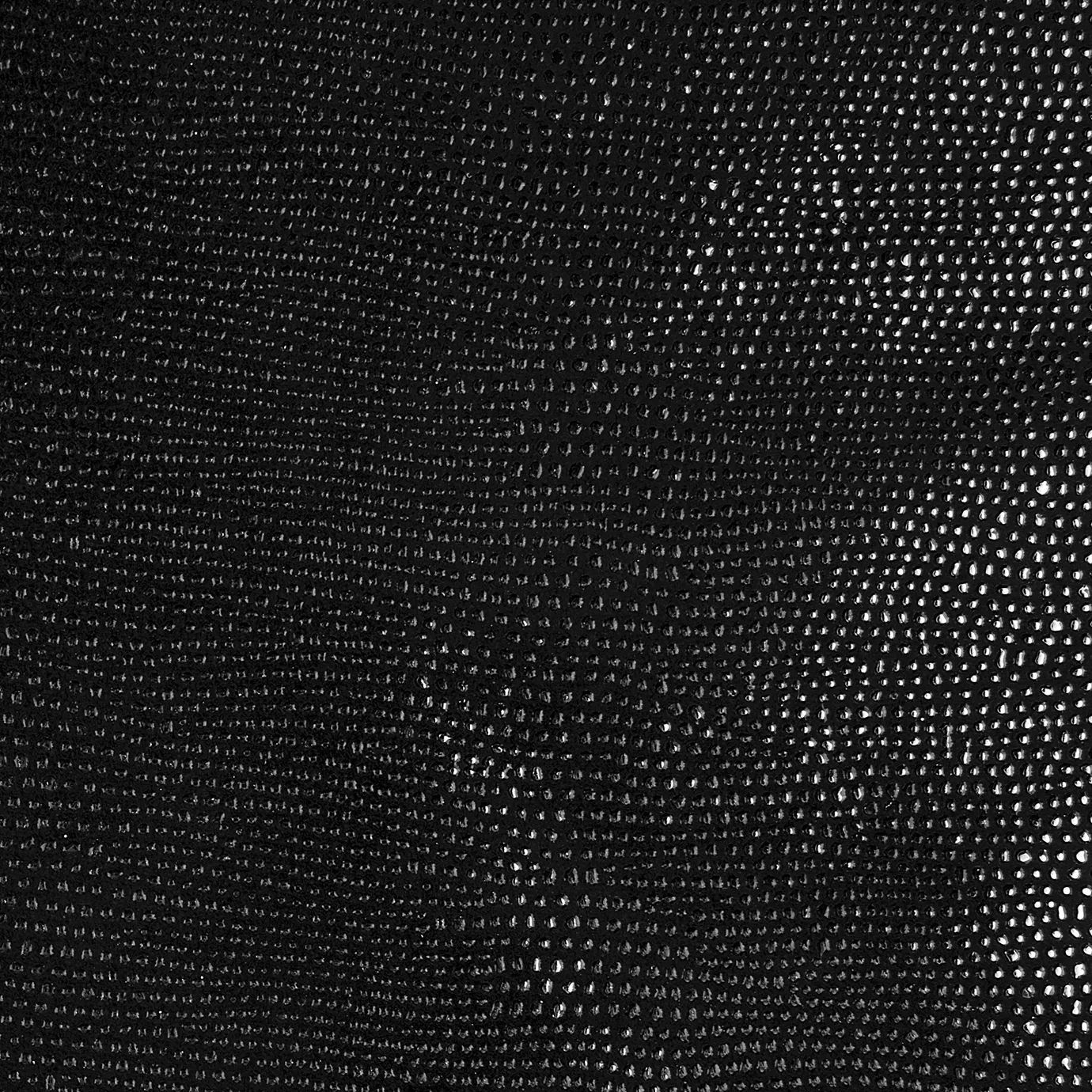 Close-up Pixel Silver Leather: textured black leather with small, shiny silver dots. Flat surface with subtle light reflections.