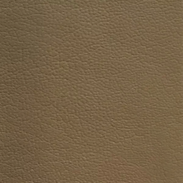 Close-up Jet 5470 Synthetic Leather: light grayish beige synthetic leather with a fine pebbled texture. Features a smooth and even sheen.