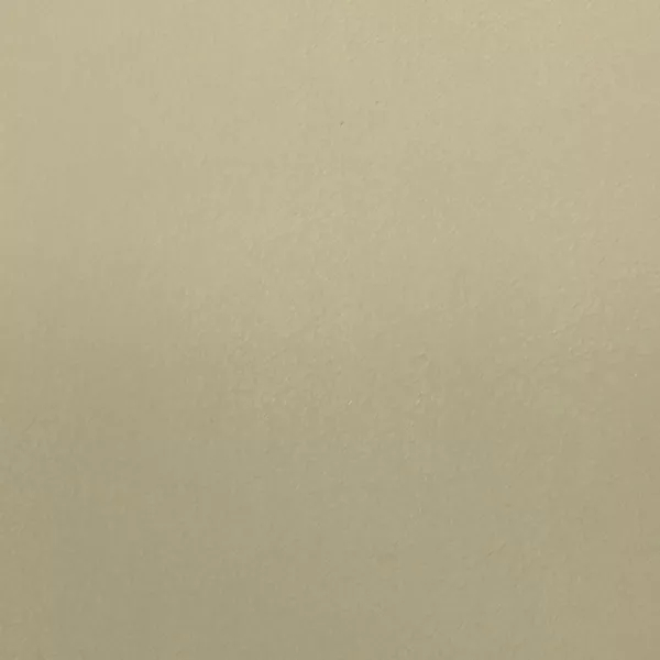 A close-up of Komodo 12418 Synthetic Leather shows a fine, slightly raised texture with subtle variations in a very light, warm beige.