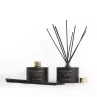 Empowering Diffuser Empowering Diffuser