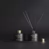 Empowering Diffuser Empowering Diffuser