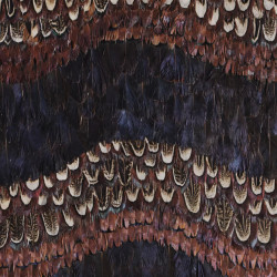 Peacock And Pheasant Purple Feathers
