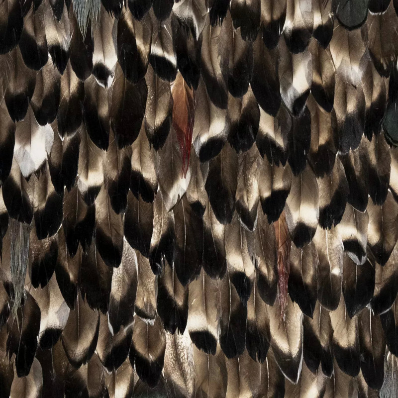 Folie Feathers Folie Feathers