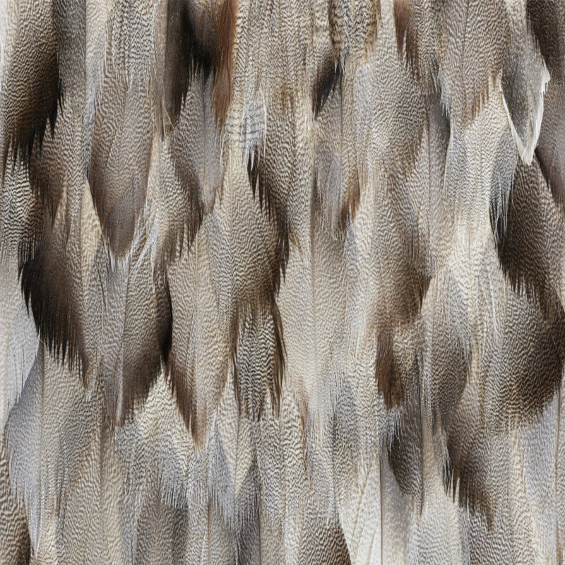 Misty Guinea Feathers Misty Guinea Feathers