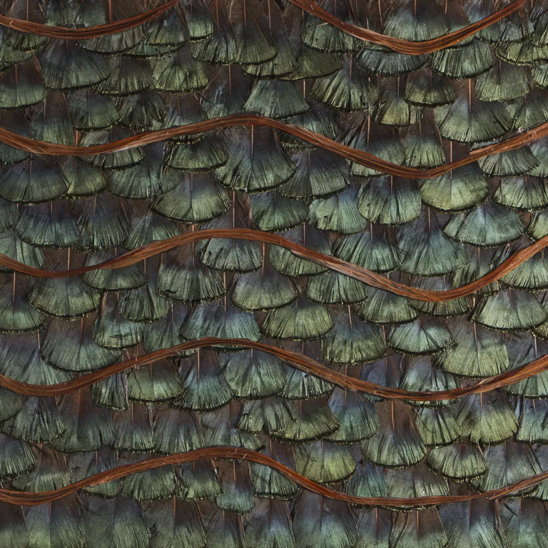 Peacock Organic Feathers Peacock Organic Feathers